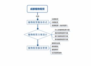 植物租賃的服務(wù)流程詳解 輕松開啟您的綠化之旅，享受專業(yè)的租賃服務(wù)